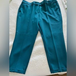 Loft plus pants awesome color